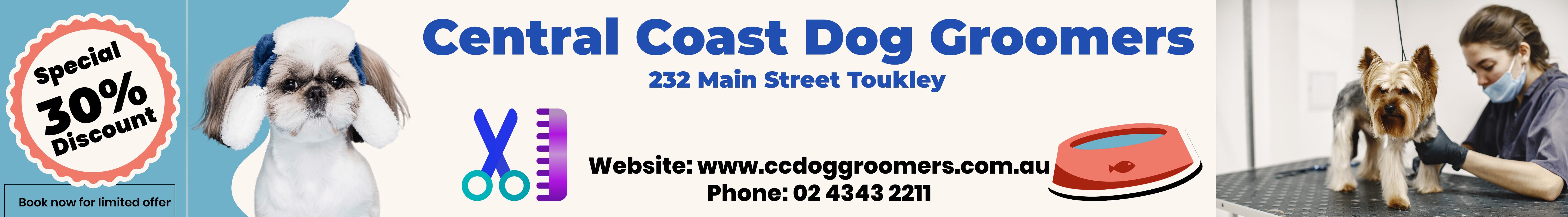 Advertisement Image