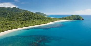 Daintree Image