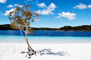 Fraser Island Image