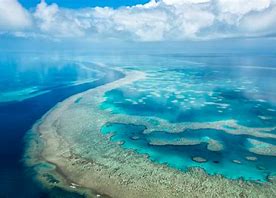 Great Barrier Reef Image